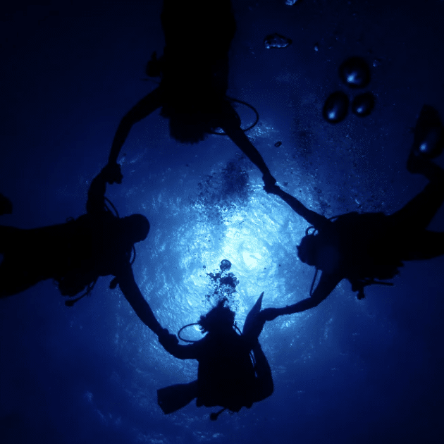PADI Divemaster Course, listing photo