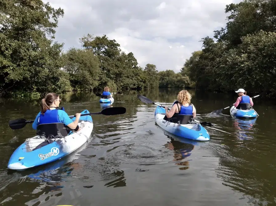 Guided Kayaking Trip on the River Avon, photo 5