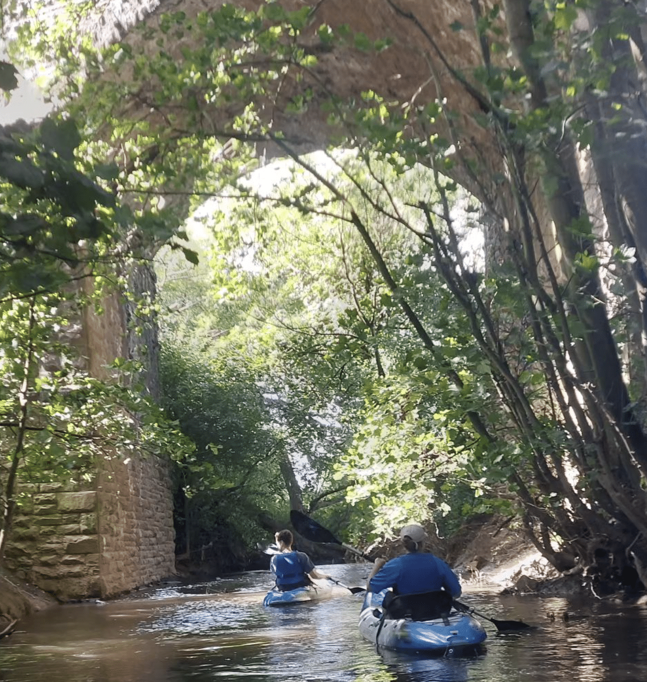 Guided Kayaking Trip on the River Avon gallery 4