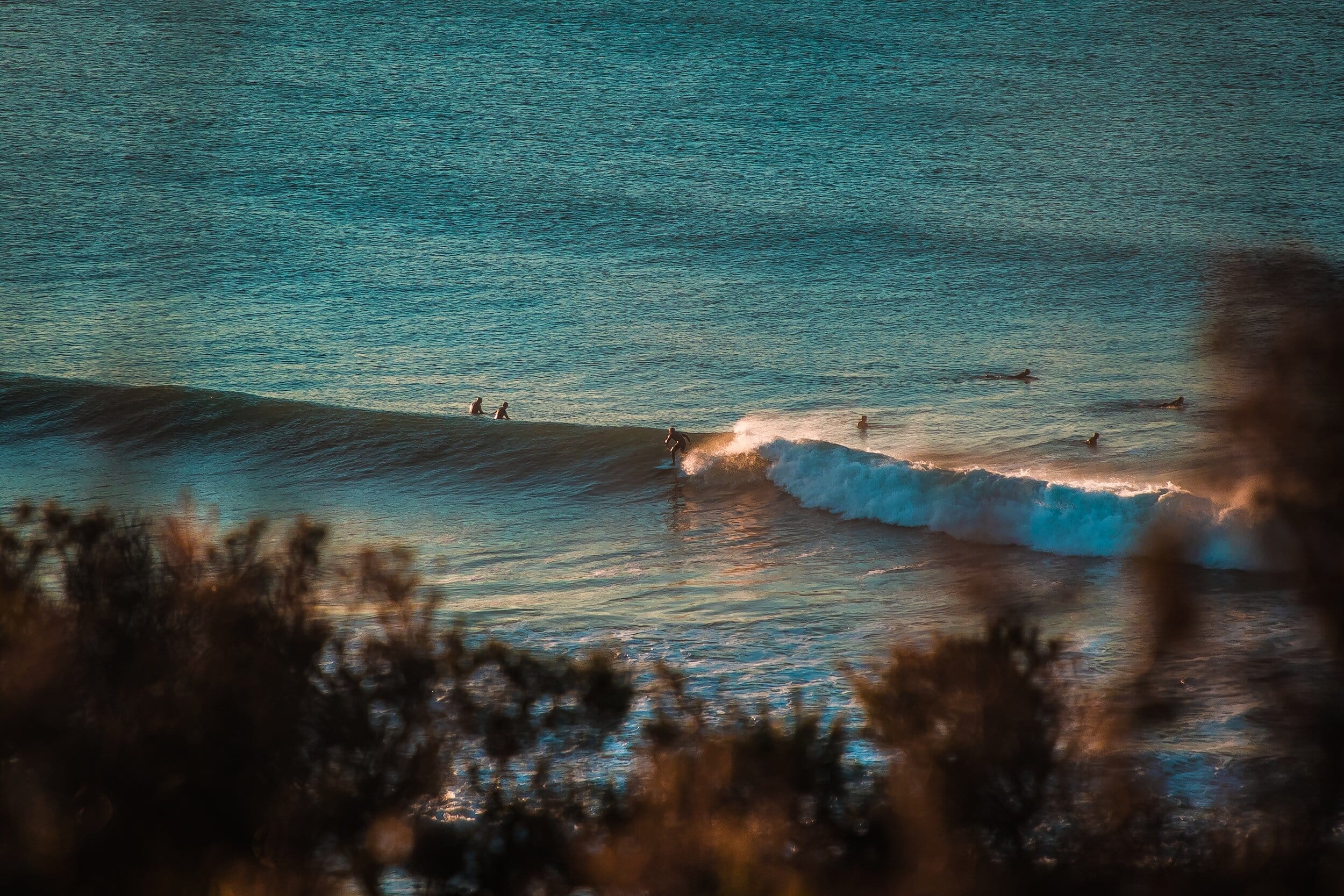 Epic 7-Day Surf Retreat in Fuerteventura gallery 2