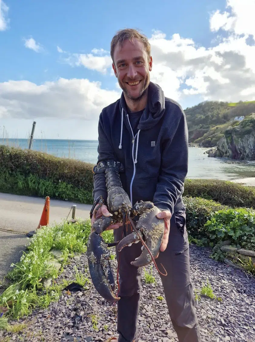 Coastal Lobster Foraging in South Devon and East Cornwall, photo 2
