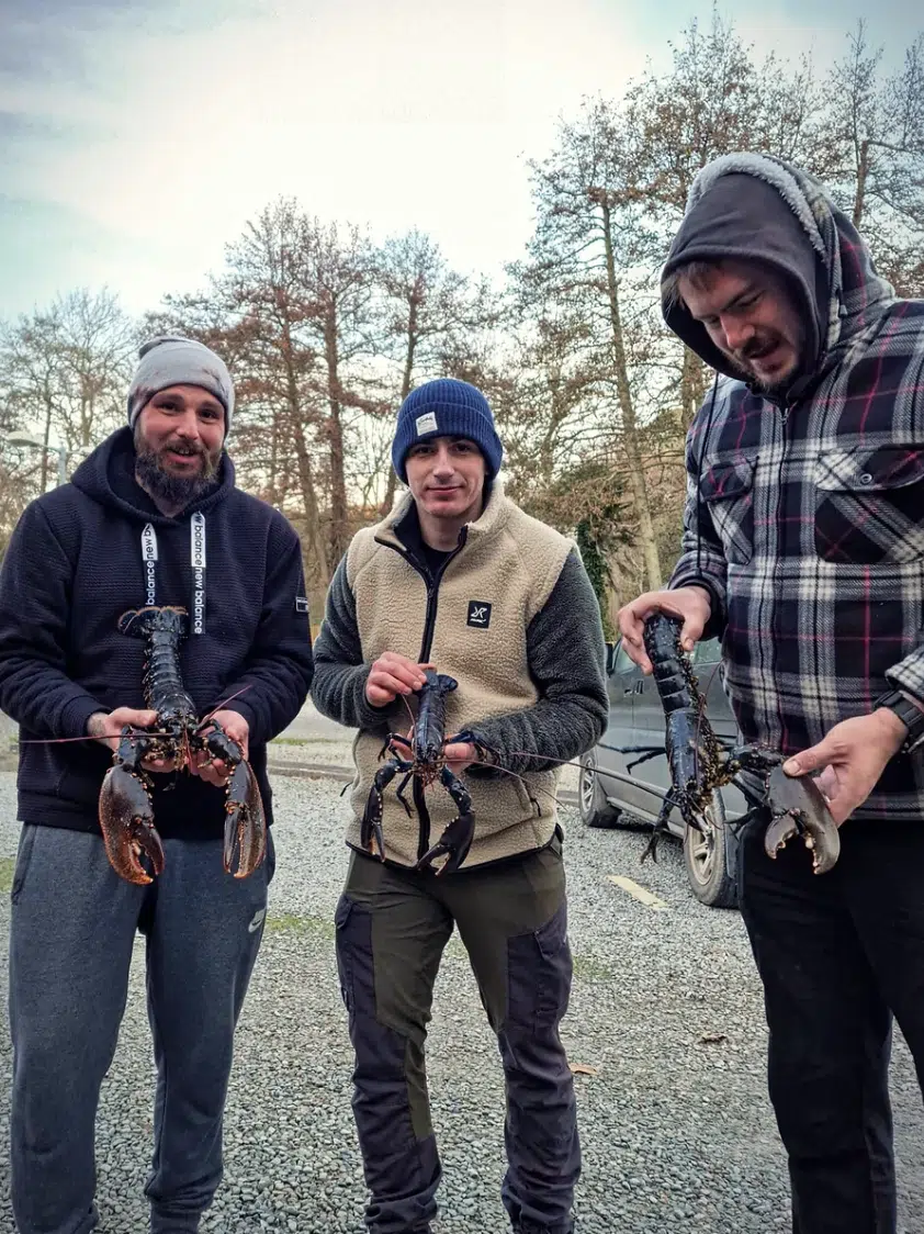 Coastal Lobster Foraging in South Devon and East Cornwall, photo 3