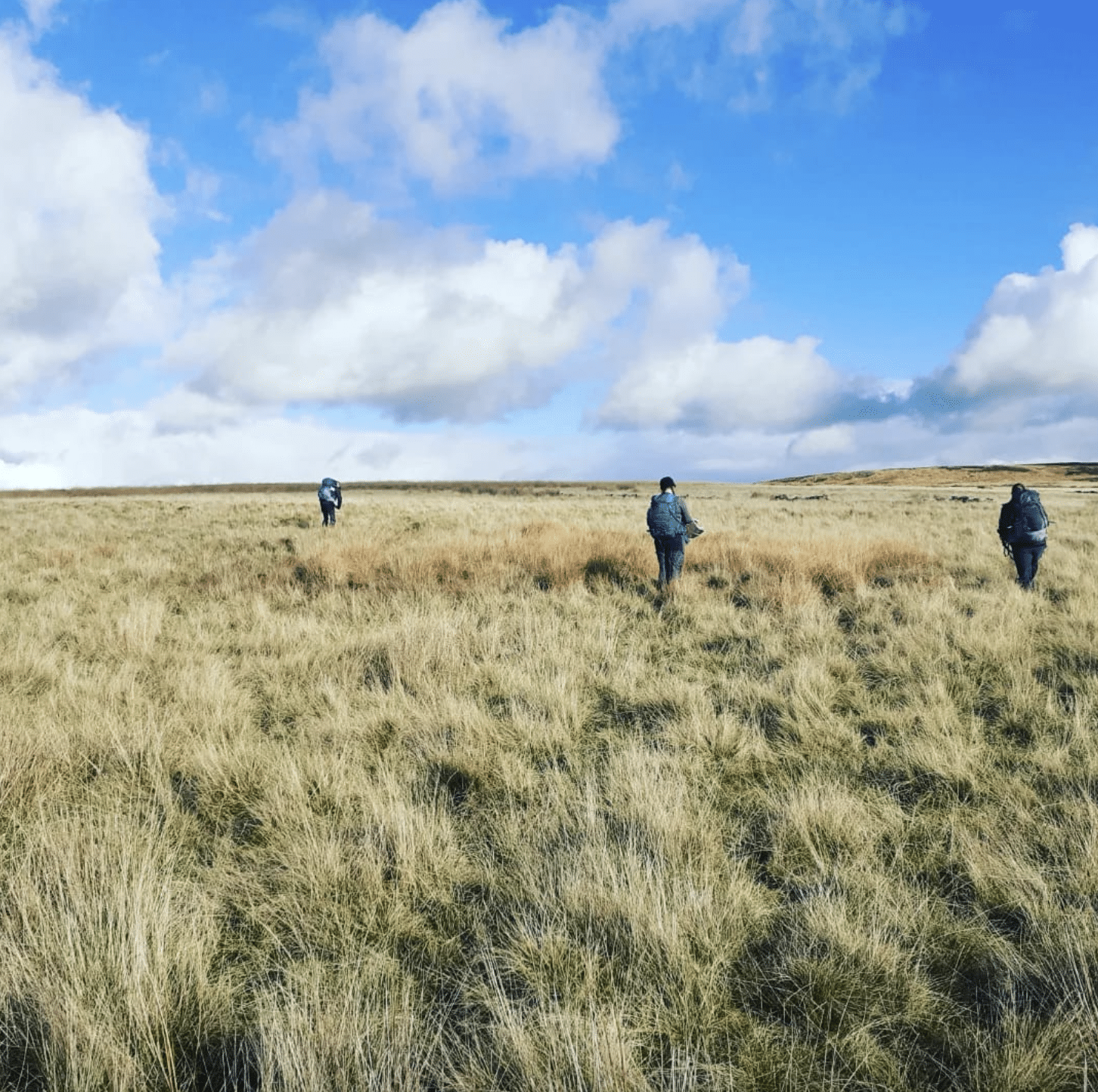 Hill and Moorland Leader Assessment in Lancashire, listing photo