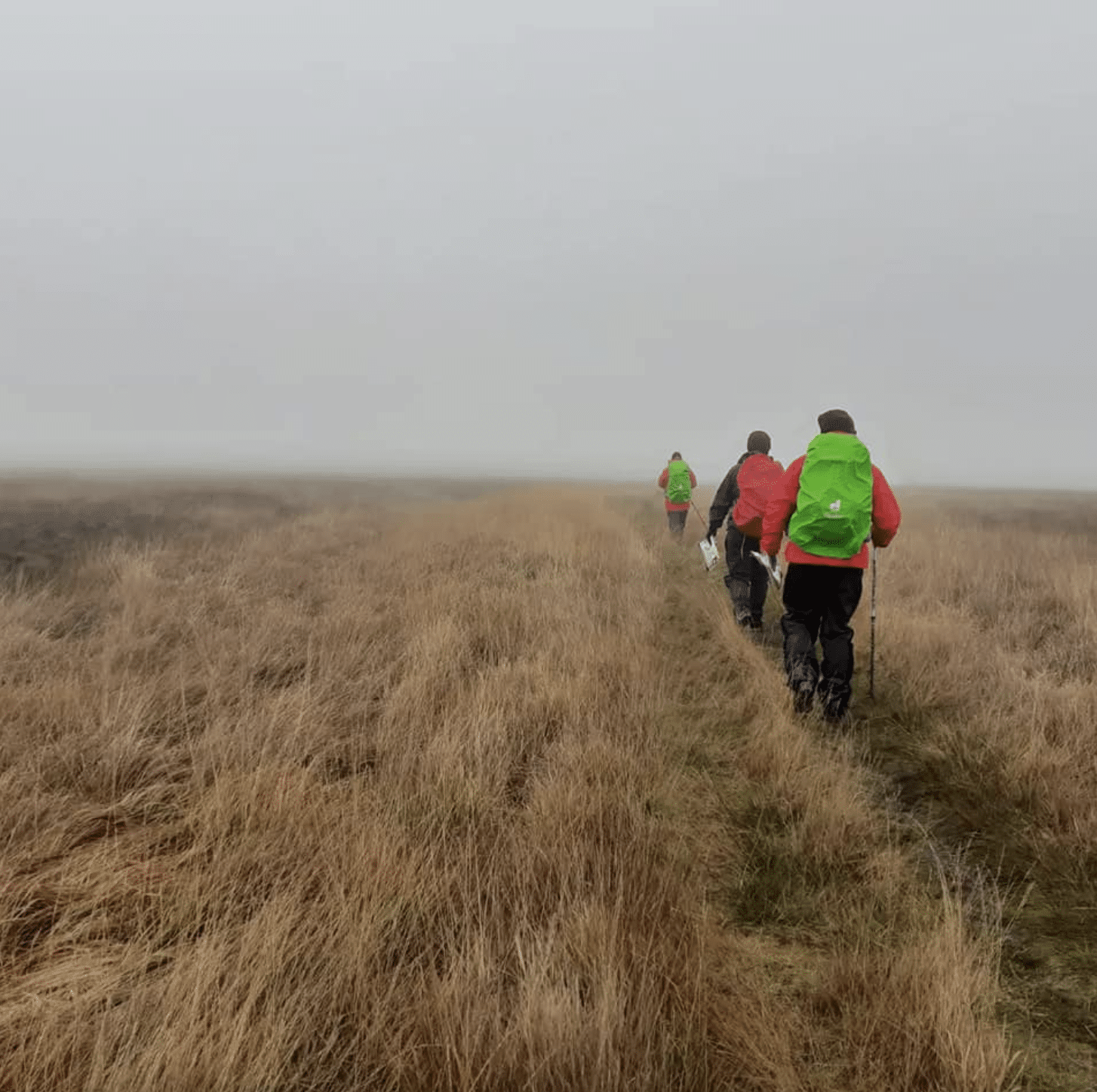 Hill and Moorland Leader Assessment in Lancashire, photo 2