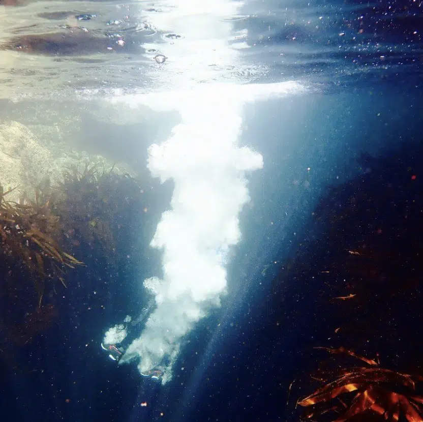 Coasteering Adventure on the East Lothian Coast gallery 3