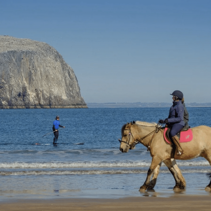 Paddleboarding Improver Lesson (SUP) - Level 2 - East Lothian Coast, photo 2