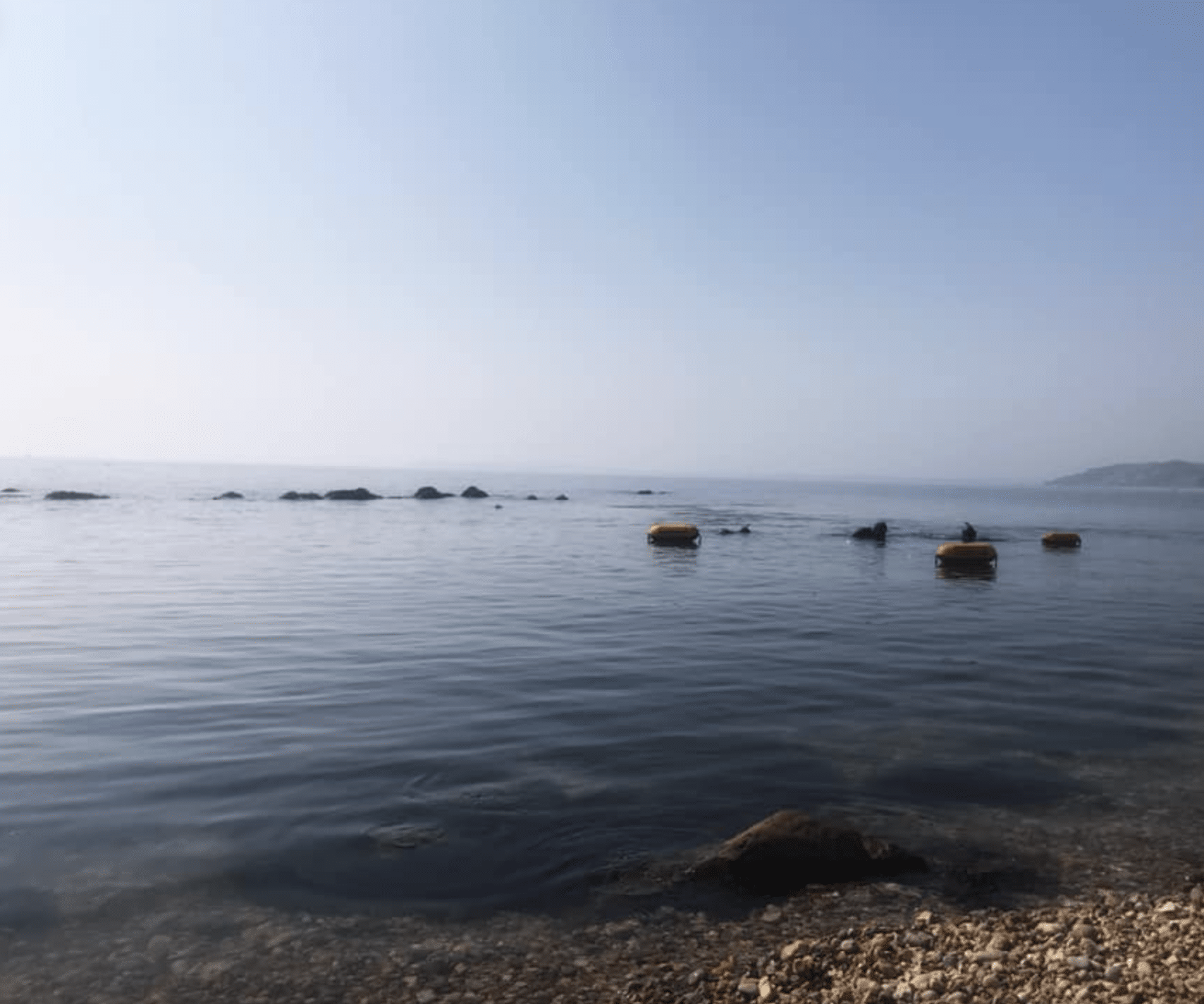 1-2-1 Spearfishing Coaching in Cornwall gallery 2