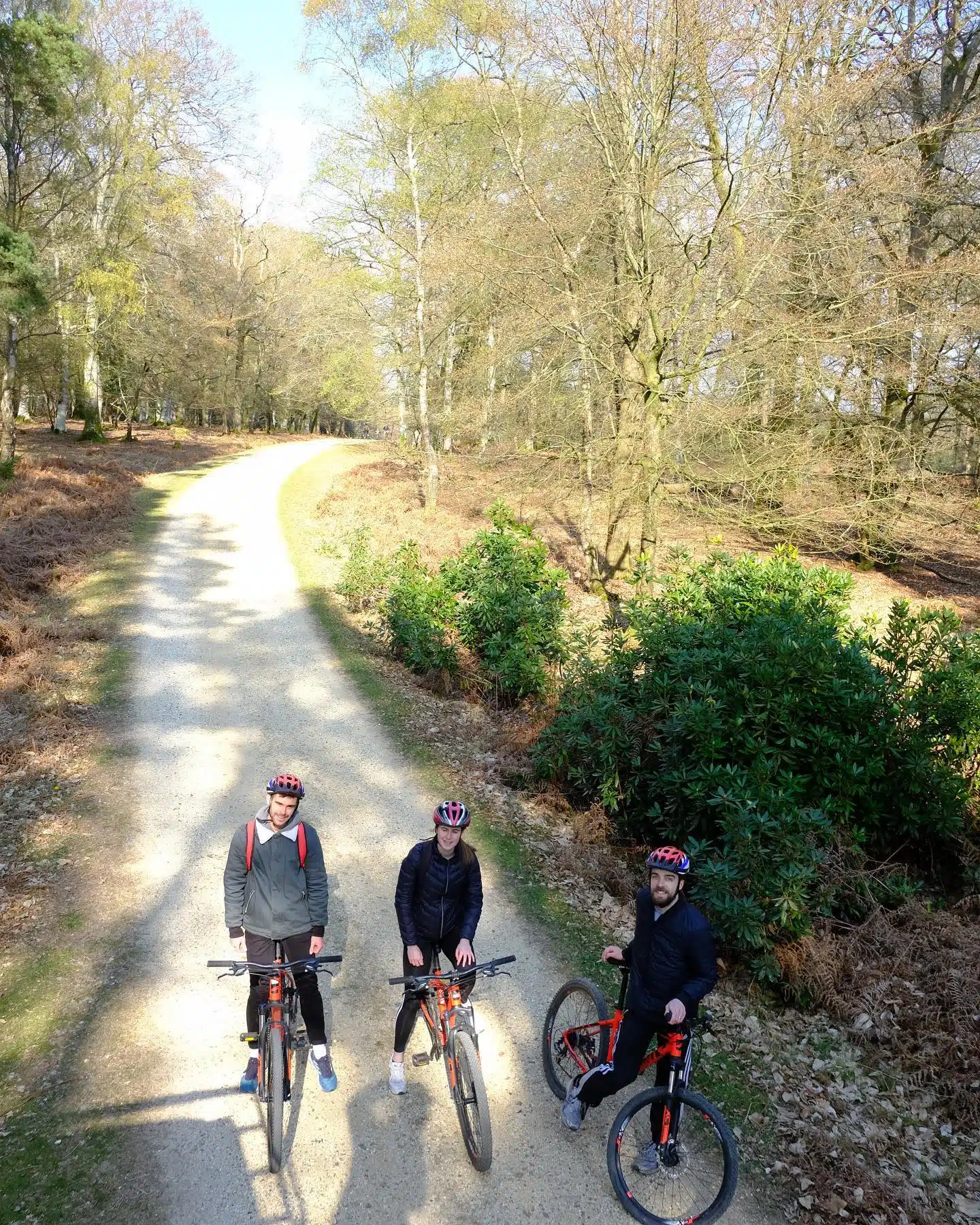 MTB, E-Bike & Gravel Bike Hire in the New Forest National Park gallery 7