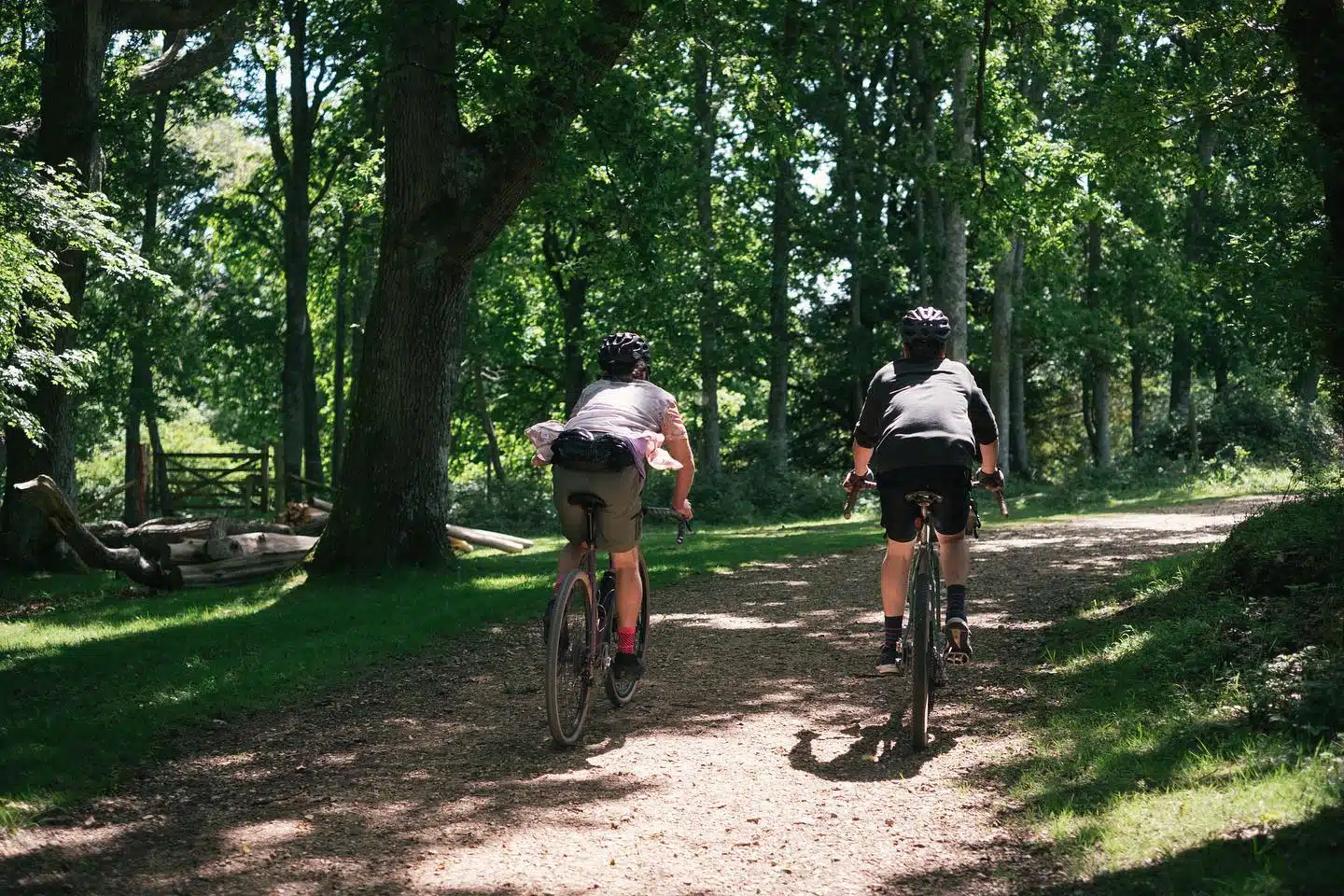 MTB, E-Bike & Gravel Bike Hire in the New Forest National Park gallery 6