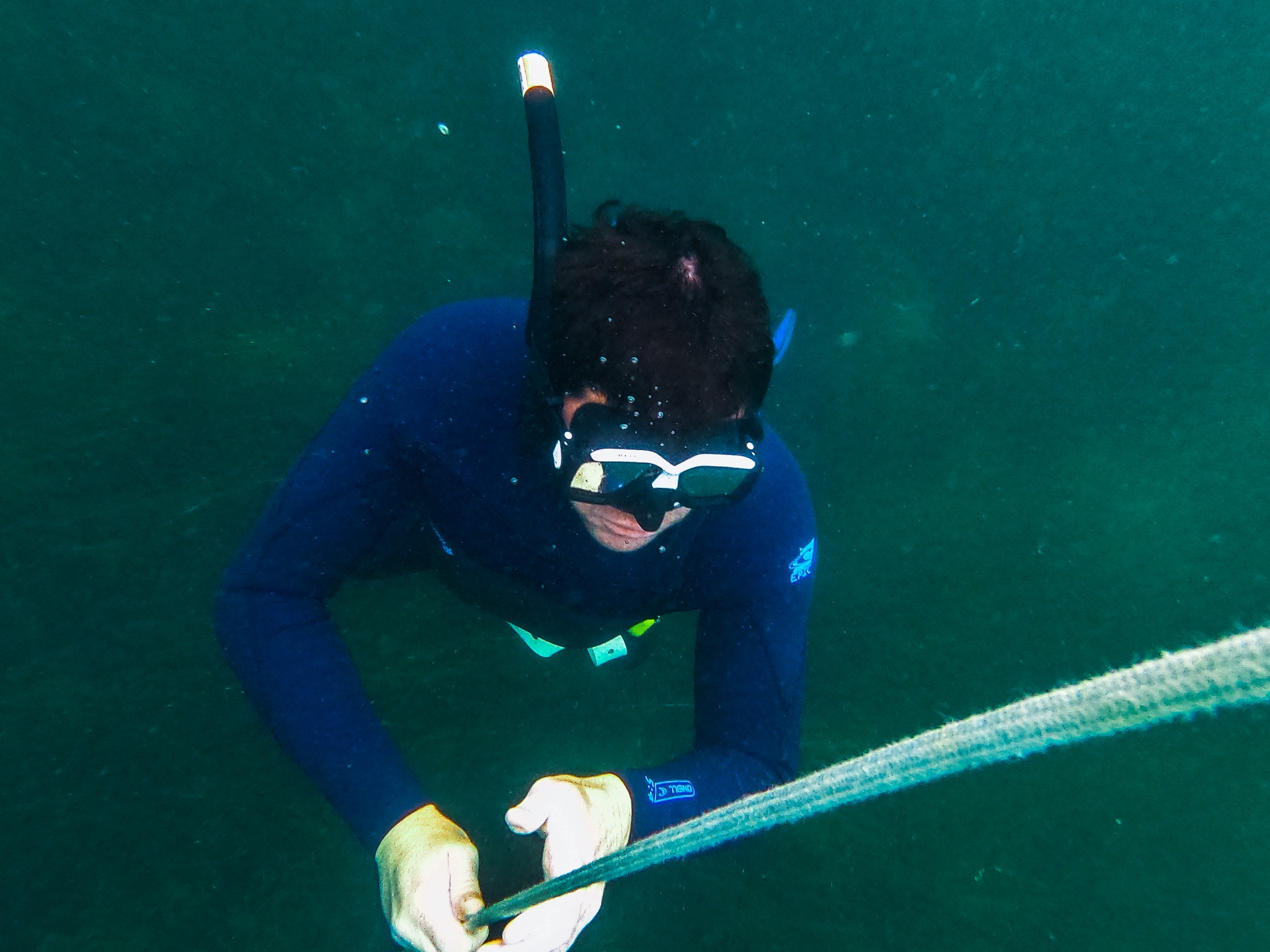 Try Freediving – Half-Day Course in Portrush gallery 3