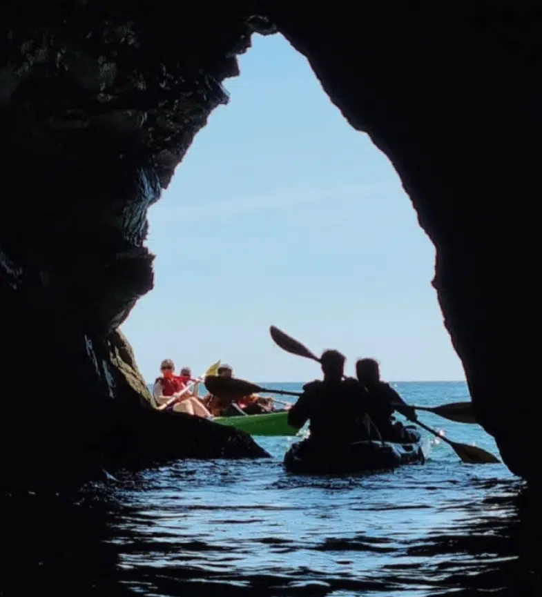 Half-day Guided Kayaking Adventure from Tenby Harbour, photo 2