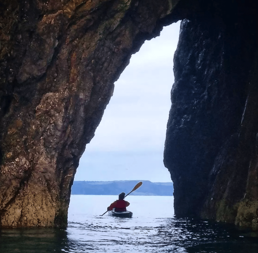 Half-day Guided Kayaking Adventure from Tenby Harbour gallery 7