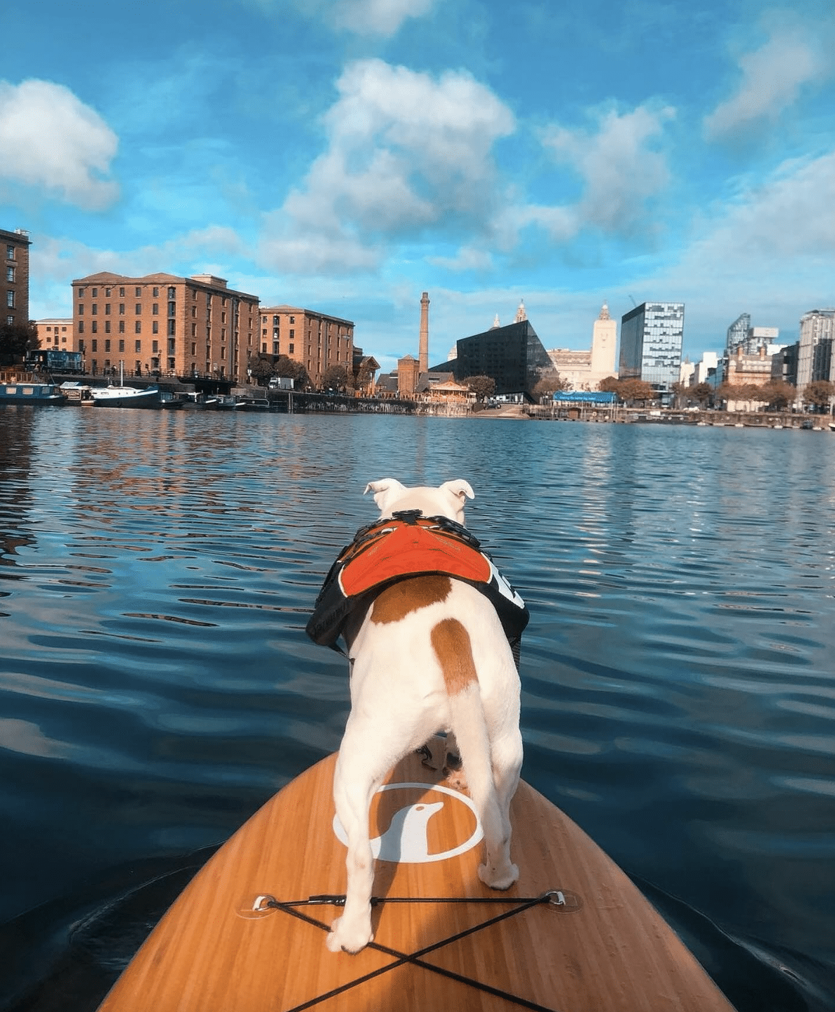 Private SUP Session at Liverpool’s Royal Albert Docks, photo 3