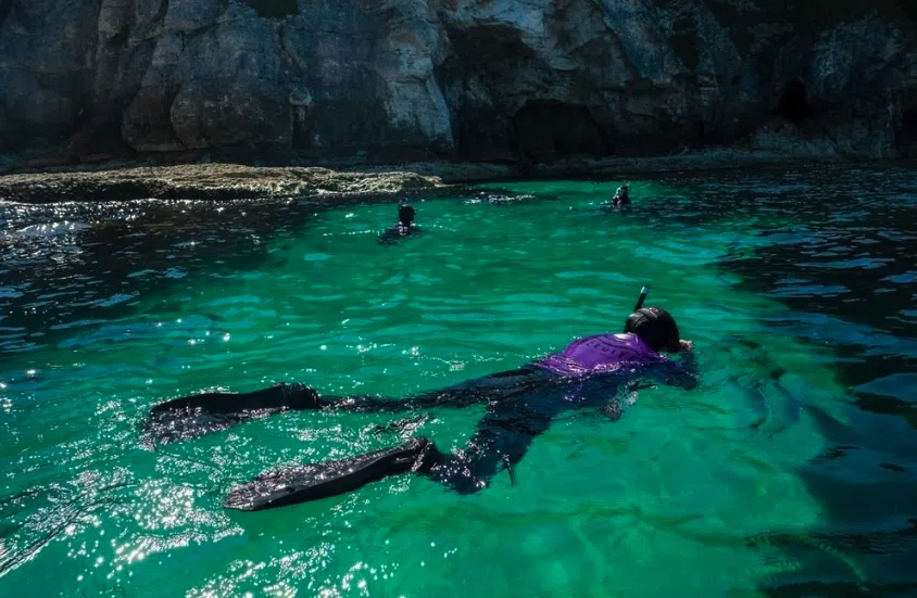 Paddleboard & Cave Snorkel Tour on the Causeway Coast, photo 5