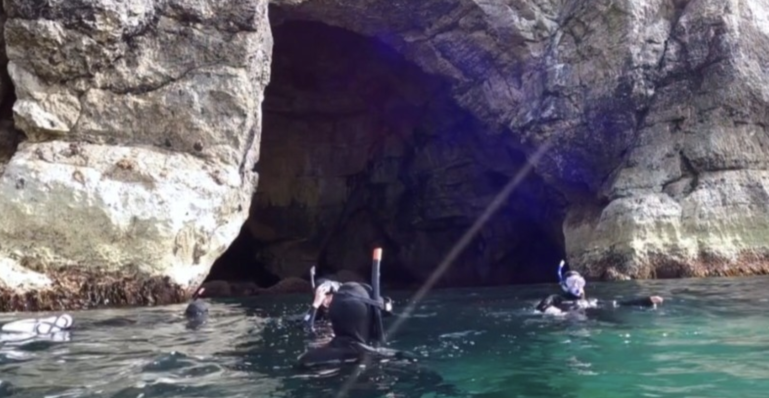 Cave Snorkel Tour on the Causeway Coast, photo 3