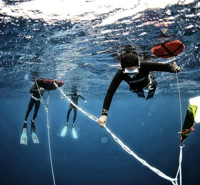 Freediving Training Session & Equipment Hire for L1+, listing photo