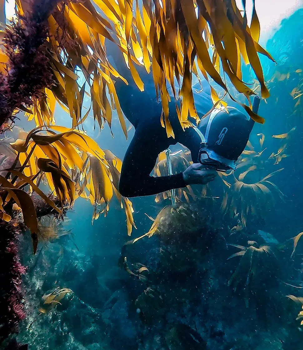 Kingdom Seascape Retreat in Dingle for Freedivers & Wild Swimmers gallery 2