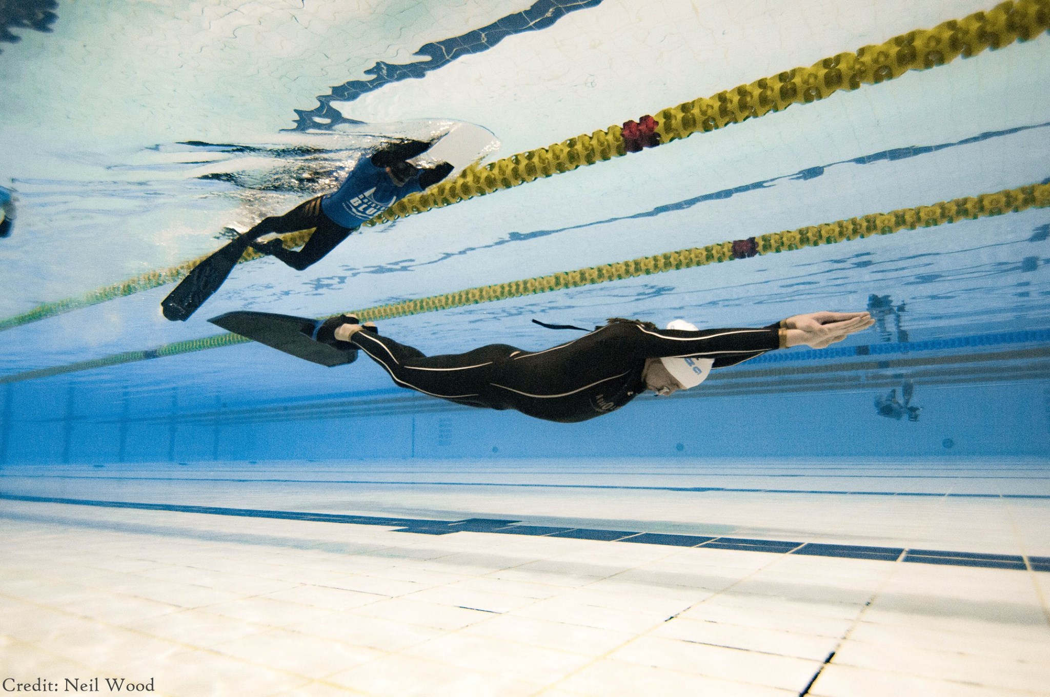 SSI Performance Freediver Course (Level 3), photo 4