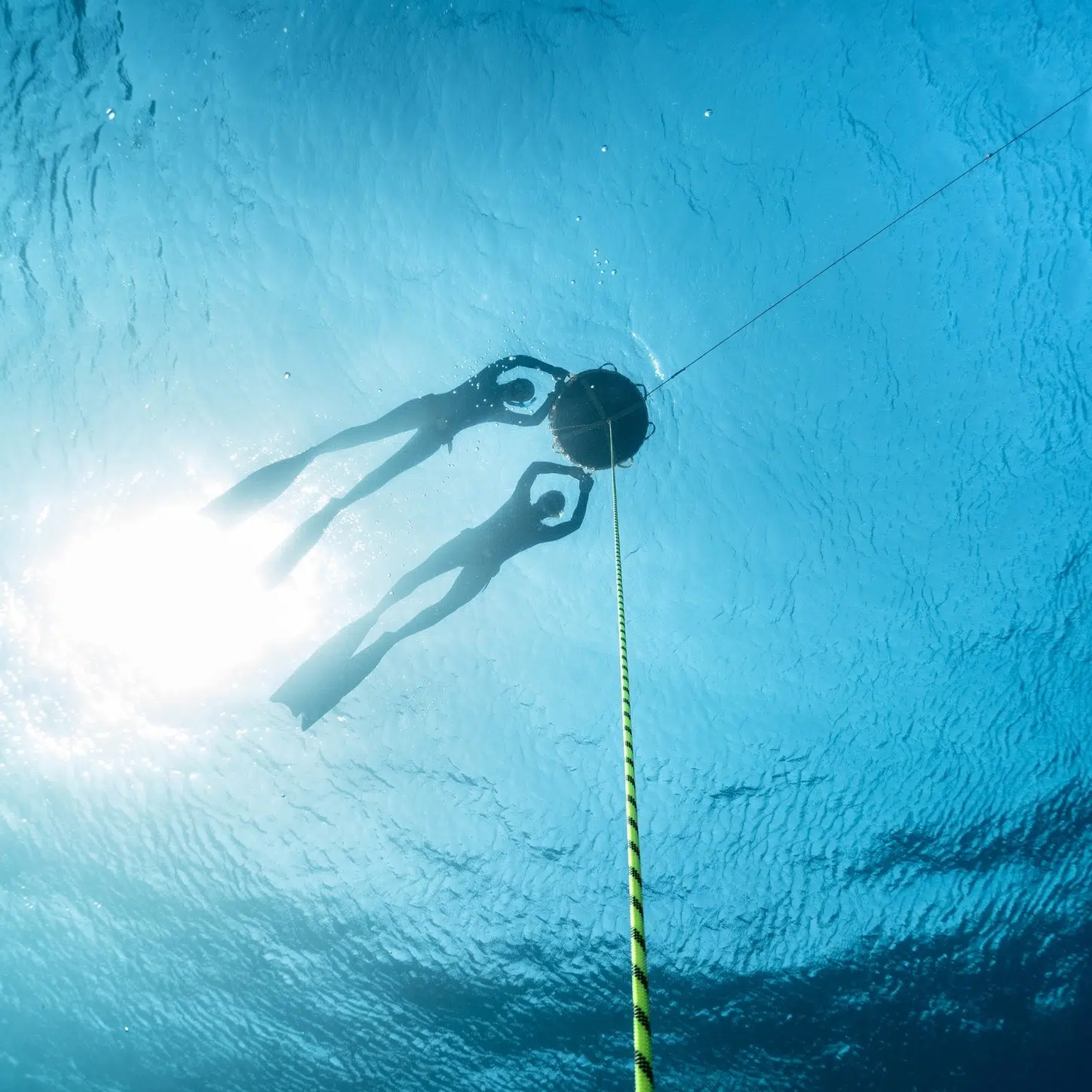 SSI Freediver Level 2, photo 2