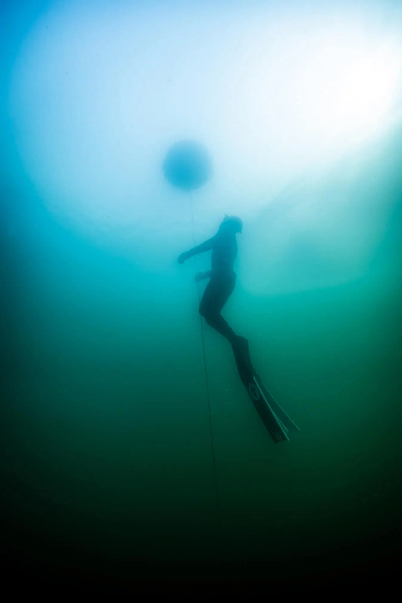 AIDA Advanced Freediver Course (AIDA 3), photo 2