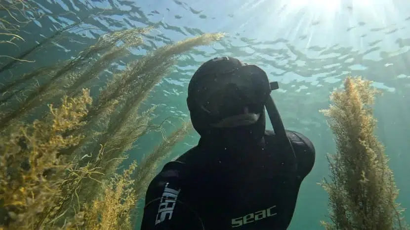 Experience Snorkelling – The North Argyll Snorkel Trail gallery 2