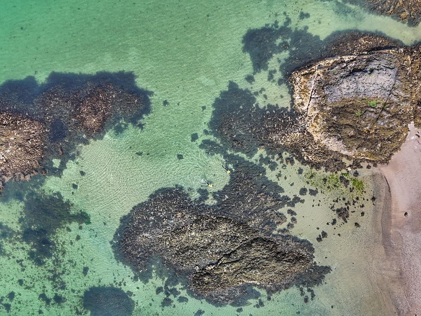 Experience Snorkelling – The North Argyll Snorkel Trail gallery 4
