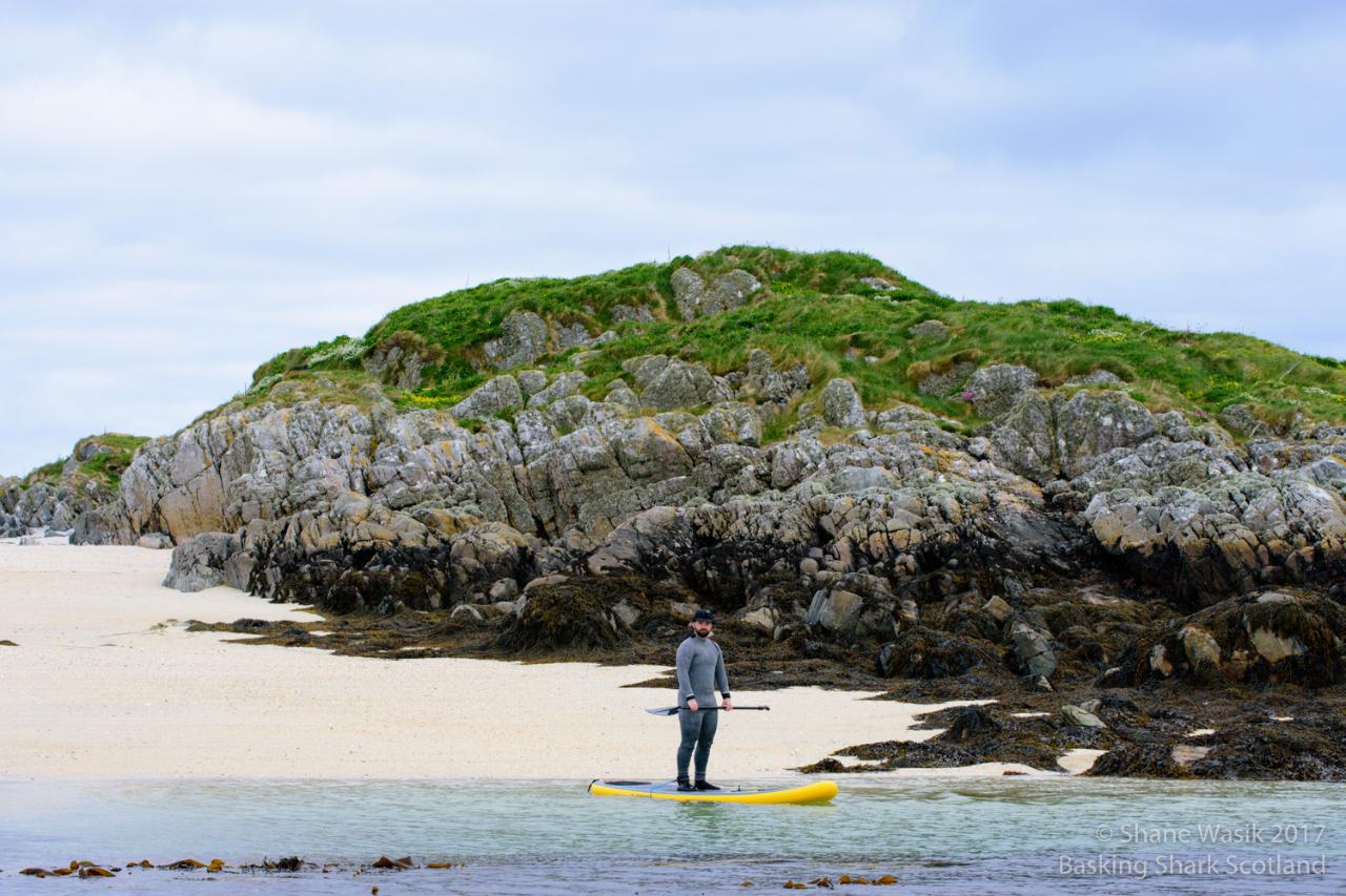 Seal & Lagoon Snorkelling from Oban or Tobermory gallery 2