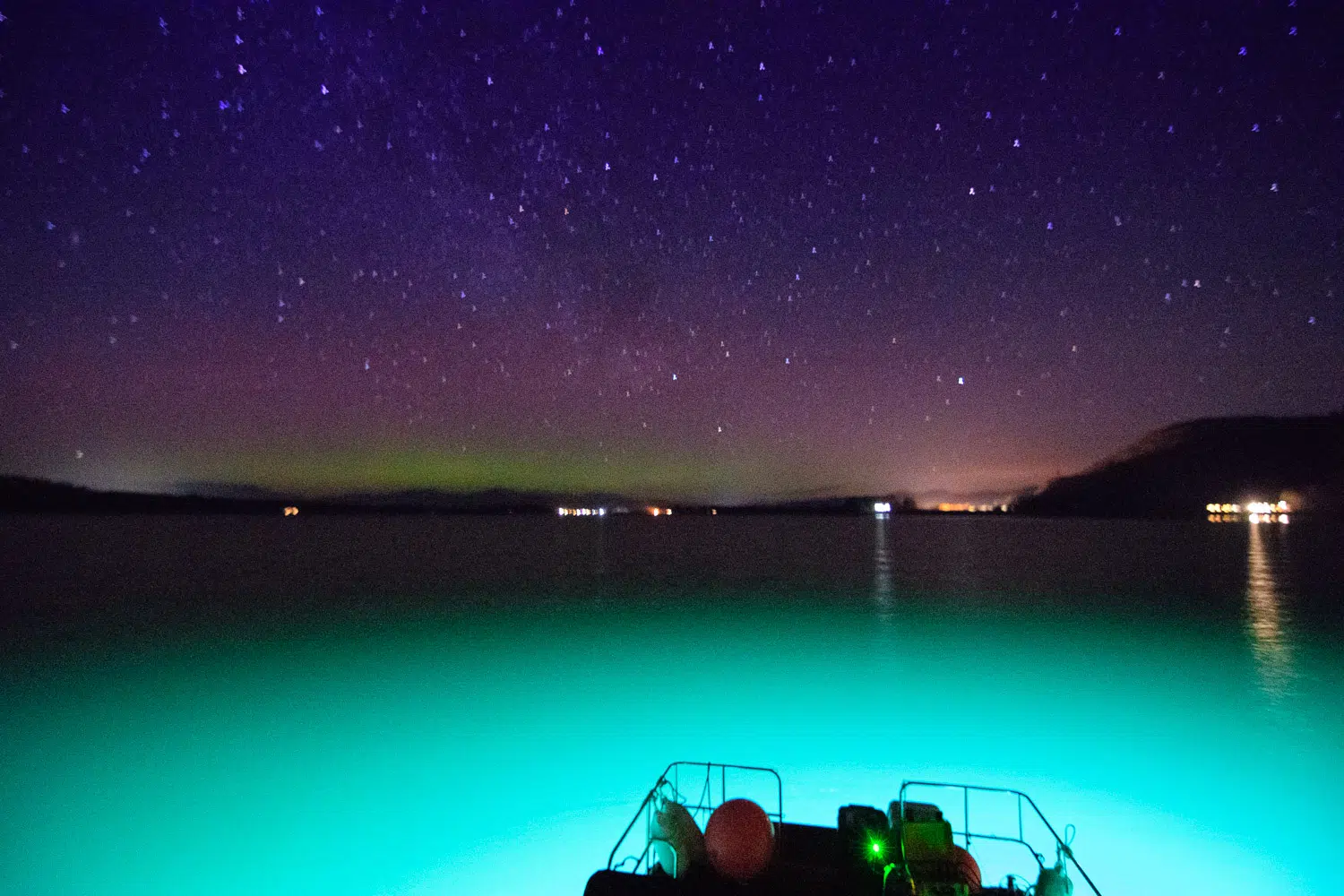 Night Snorkelling – The North Argyll Snorkel Trail, photo 2