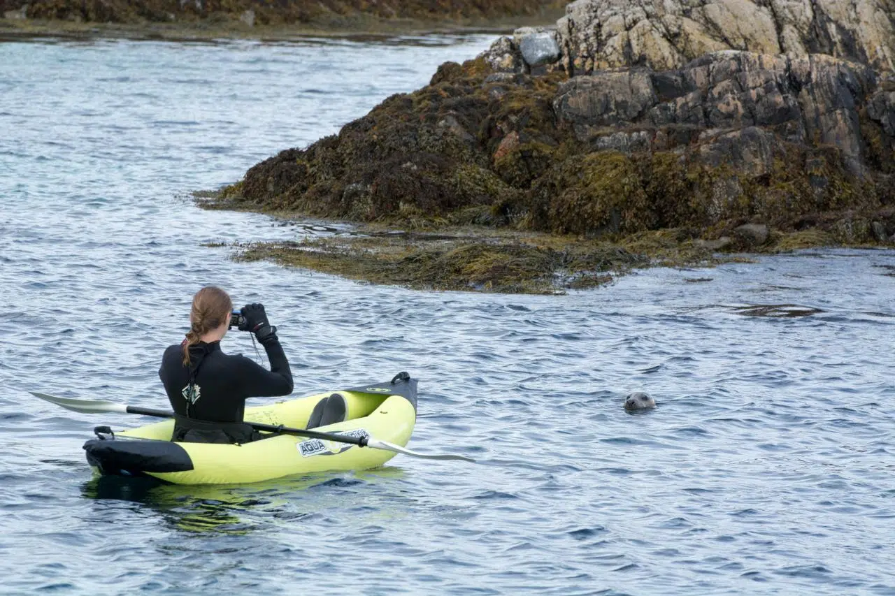 Seal & Lagoon Snorkelling from Oban or Tobermory, photo 3