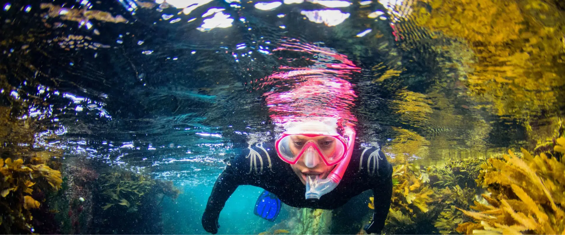 Experience Snorkelling – The North Argyll Snorkel Trail, listing photo