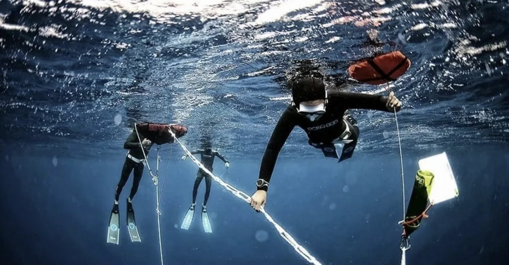 SSI Freediver Level 1 Course, photo 2