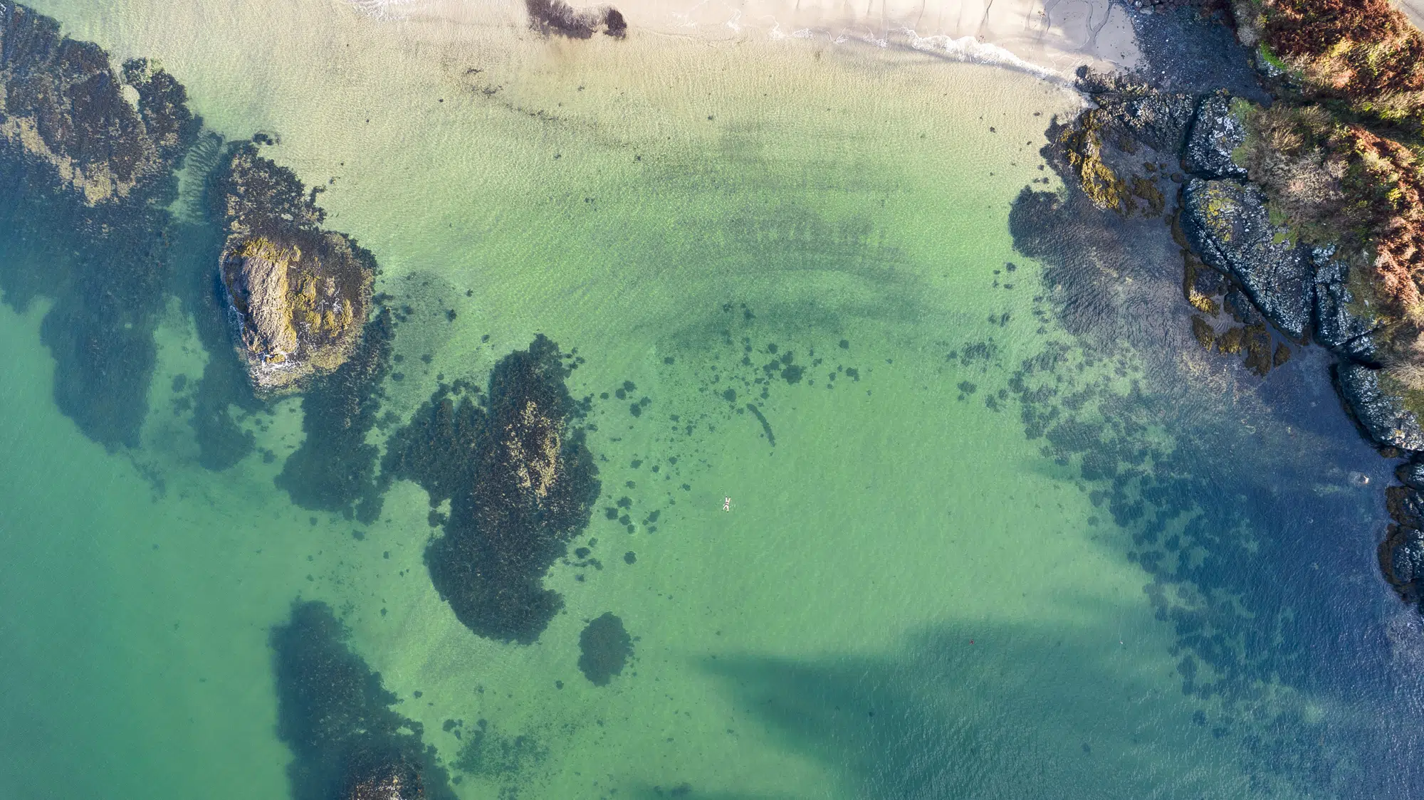 Experience Snorkelling – The North Argyll Snorkel Trail, photo 2