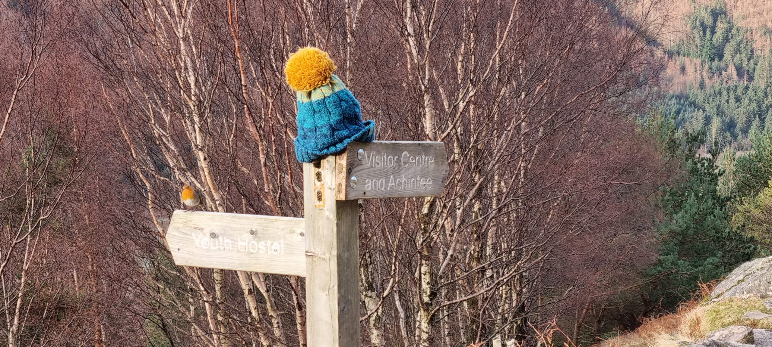 Guided Mountain Days – Glen Nevis, Ben Nevis, or Glen Coe gallery 2
