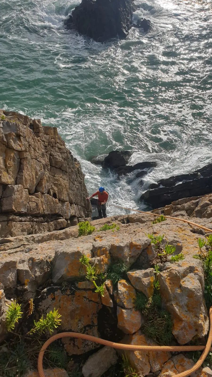 Climbing Adventure at Newton Head gallery 3