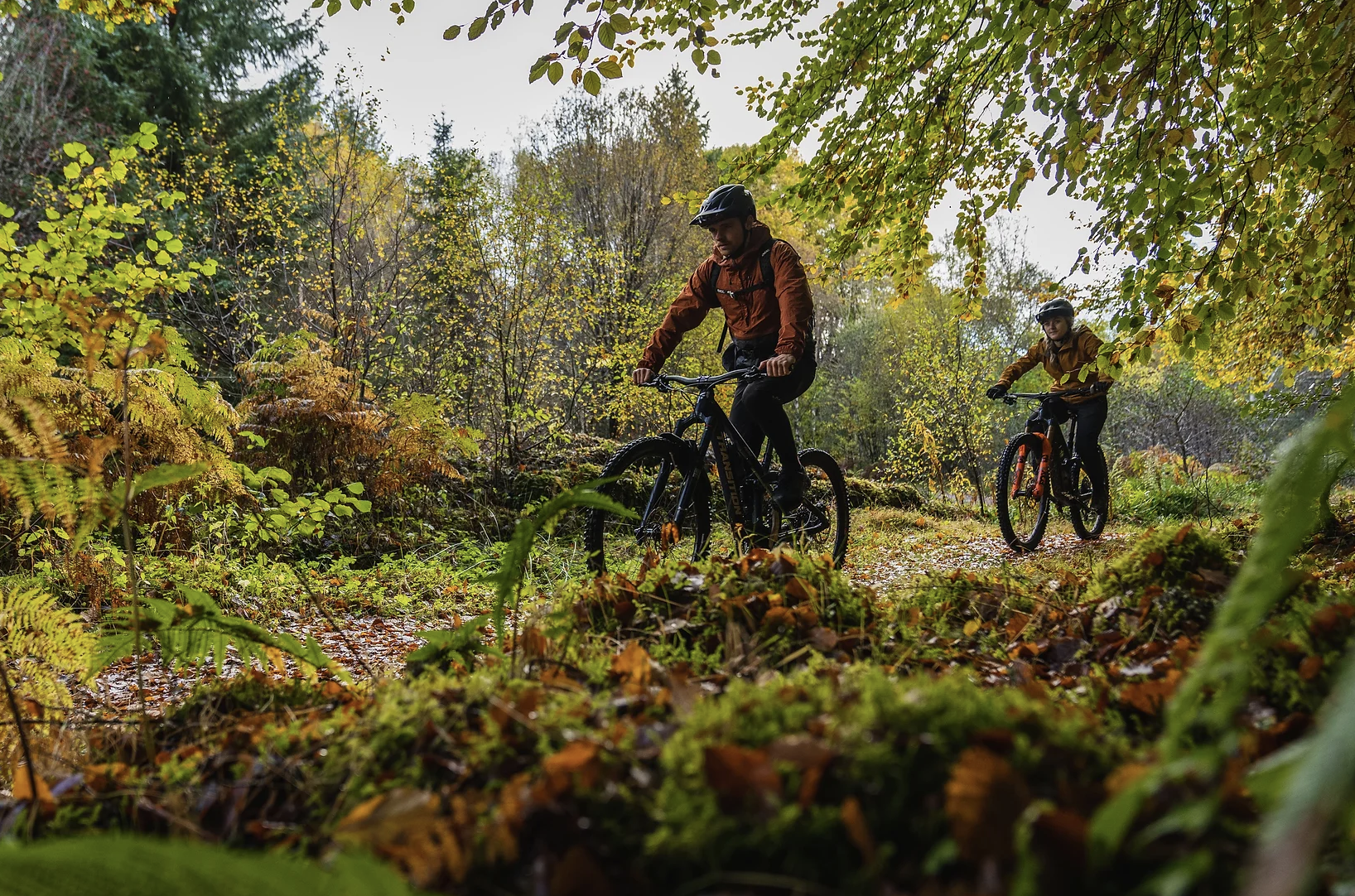 Intermediate Mountain Bike Tours in Lochaber gallery 2