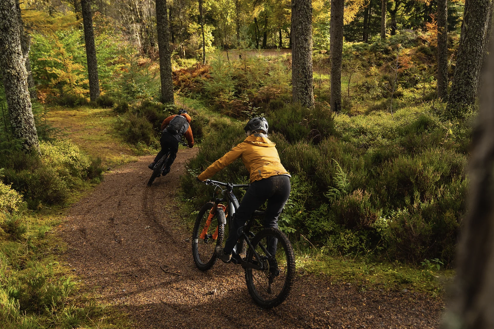 Intermediate Mountain Bike Tours in Lochaber, photo 3