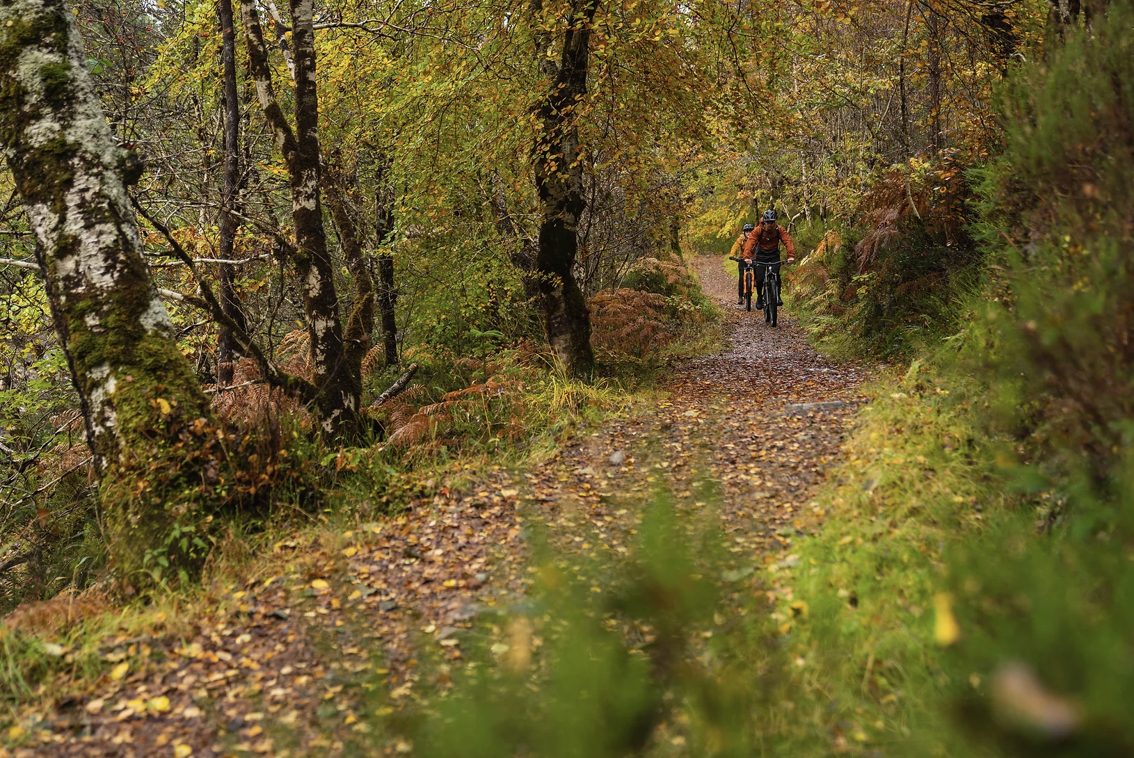 Intermediate MTB Coaching - Progression Session gallery 5