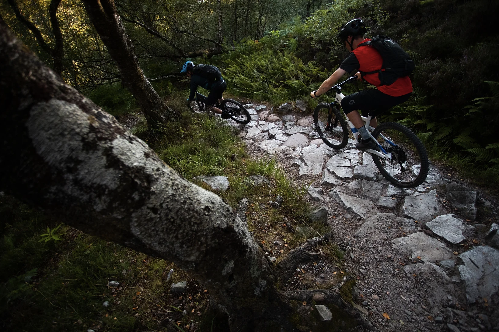 Advanced Mountain Bike Tours in Lochaber, photo 3