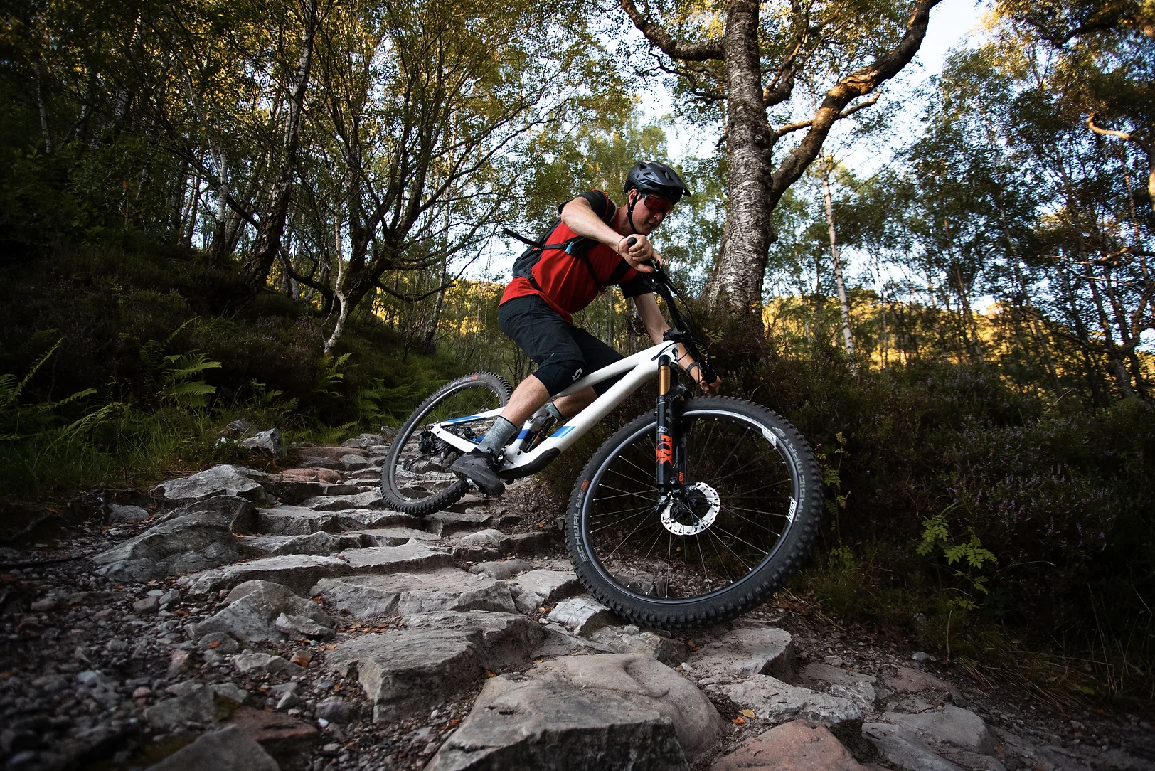 Advanced Mountain Bike Tours in Lochaber gallery 4