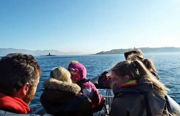 RIB Tour – Explore Puffin Island gallery 2