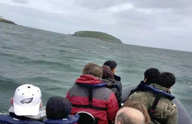 RIB Tour – Explore Puffin Island gallery 5