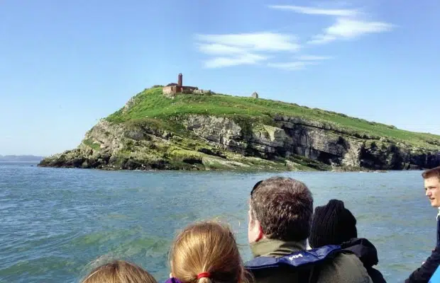 RIB Tour – Explore Puffin Island gallery 6