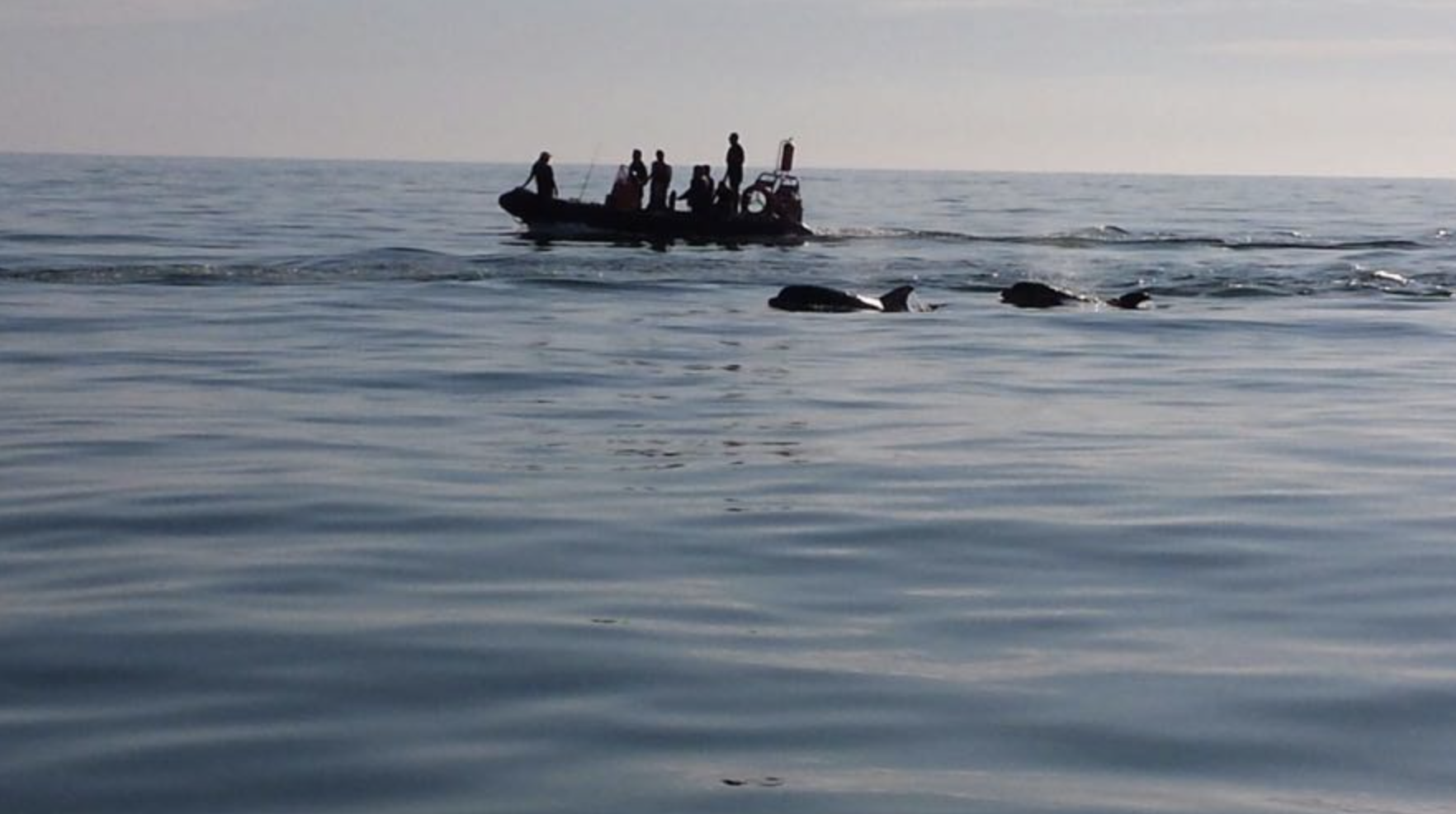 Youth Powerboat Level 2 (ages 12+) in Brighton, photo 4