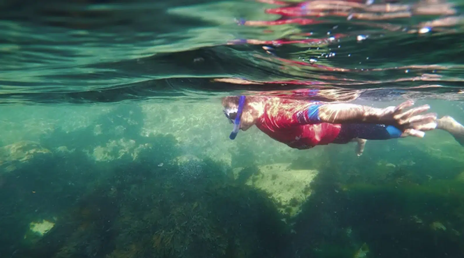 Snorkelling Tour in Newquay, Cornwall, photo 5