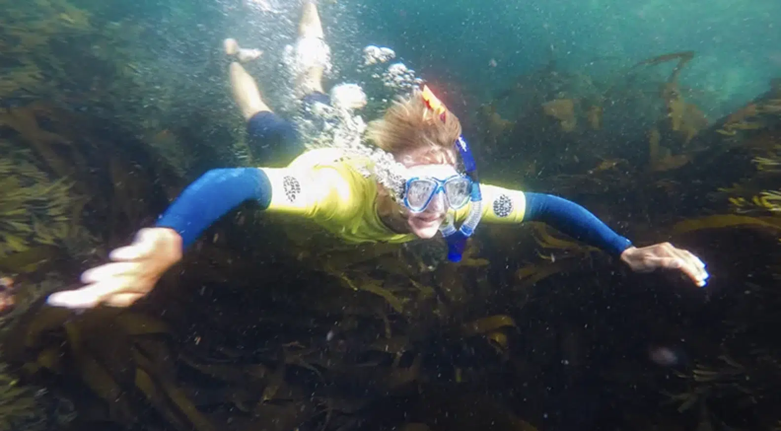 Snorkelling Tour in Newquay, Cornwall, photo 3