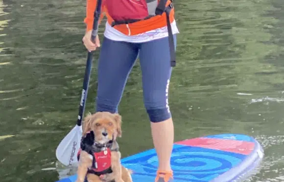 Doggy Paddle!, photo 4
