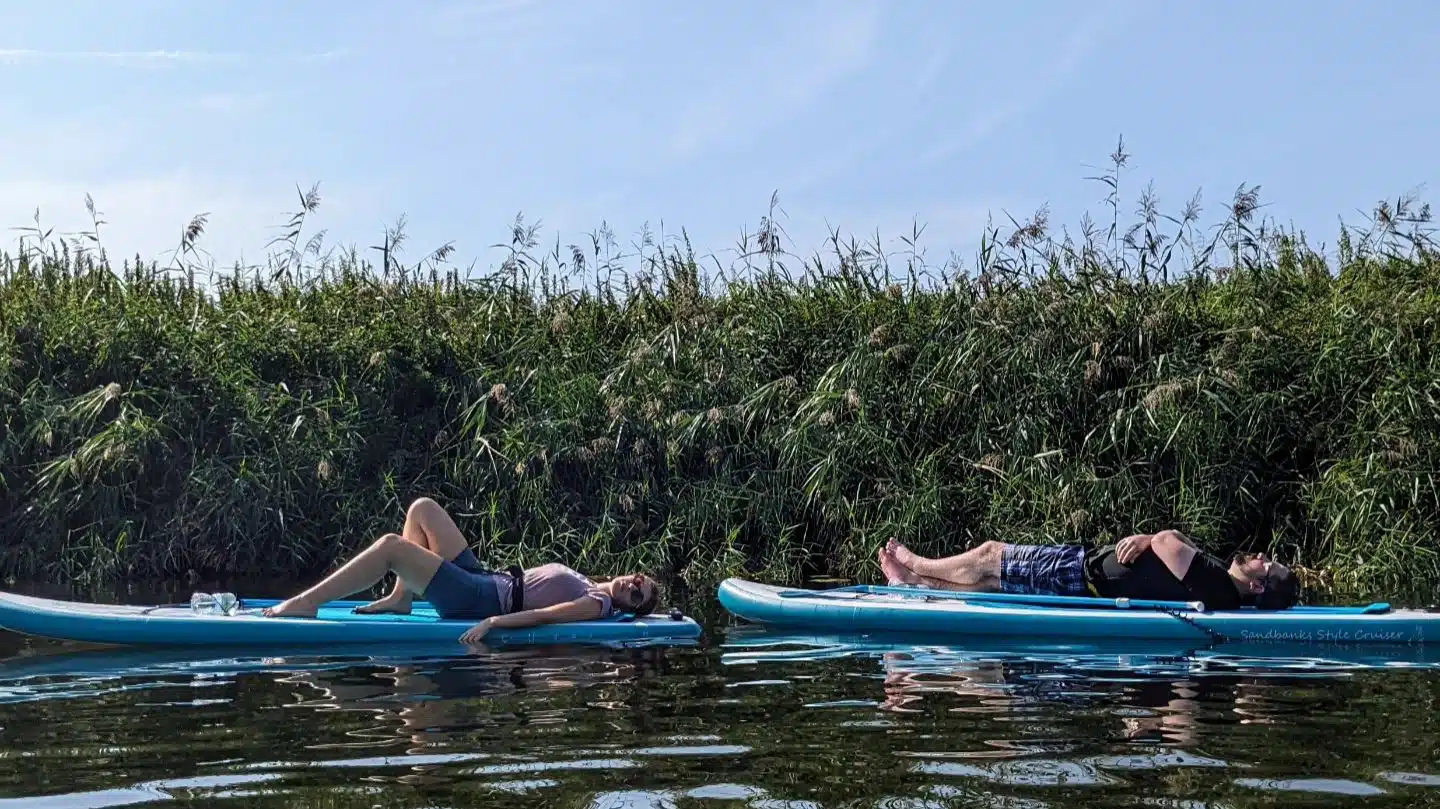 SUP River Safari for Beginners in Worcestershire gallery 3