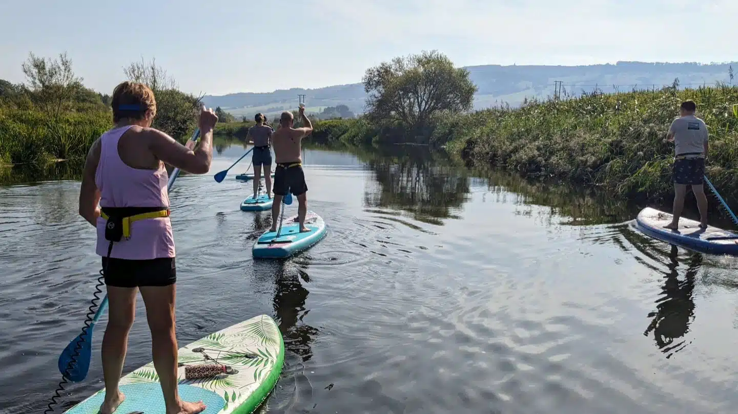 SUP River Safari for Beginners in Worcestershire gallery 4