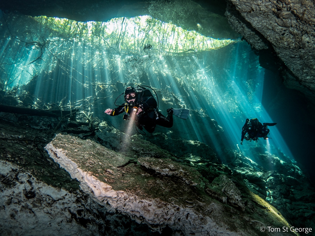 Divemaster and Assistant Instructor certification