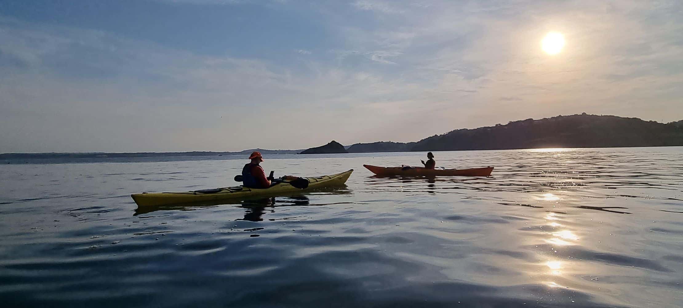 Guided Evening Wildlife and Sea Cave Kayaking Tour in Torquay, photo 4